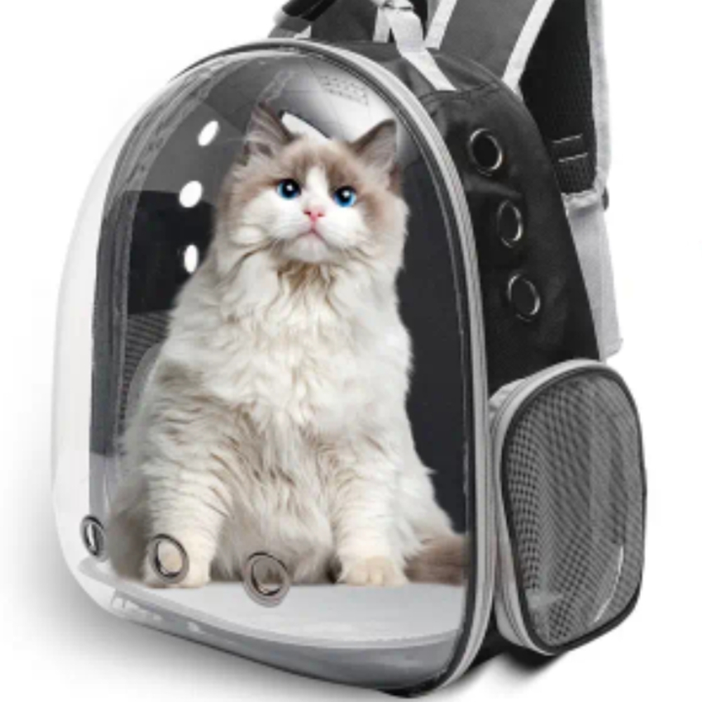 Clear Ventilated Cat Travel Backpack
